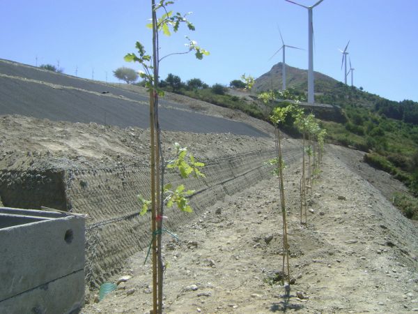 Sistemazione Terre ParcoEolicoPeloritano 09