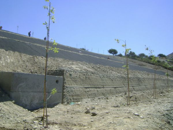 Sistemazione Terre ParcoEolicoPeloritano 10