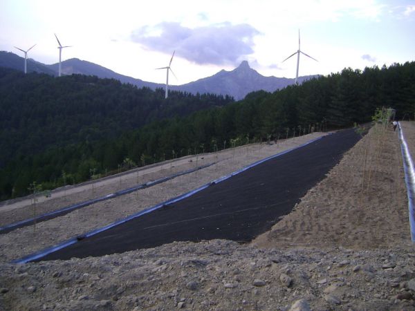 Sistemazione Terre ParcoEolicoPeloritano 13
