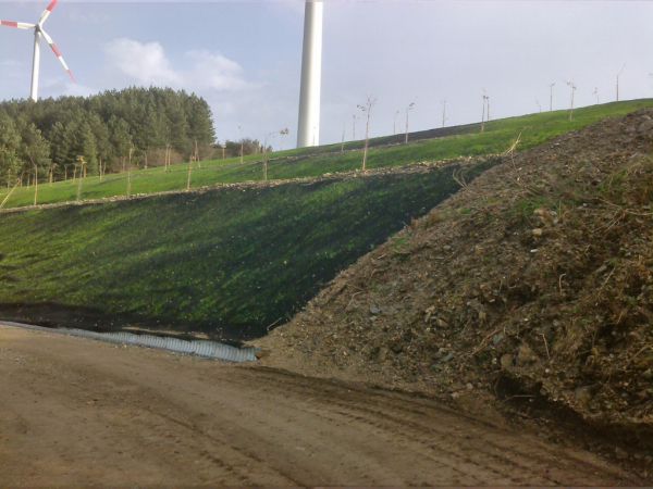 Sistemazione Terre ParcoEolicoPeloritano 15