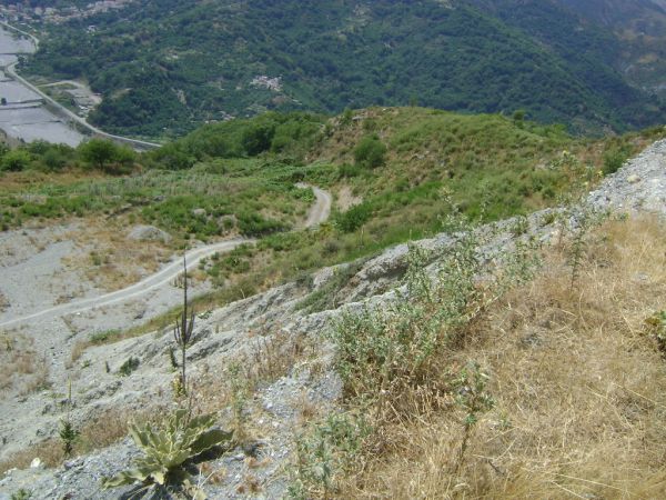 Sistemazione Terre ParcoEolicoPeloritano 17