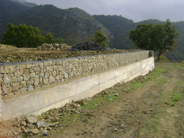 DSC00597